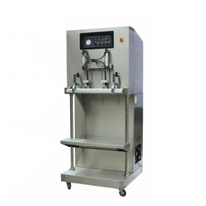 DZQ External Vacuum Packaging Machine